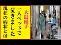 大島優子の現在!今現在が衝撃的すぎる!