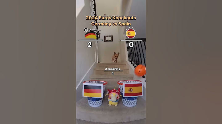 El PRONÓSTICO del PERRO infalible del ESPAÑA-ALEMANIA | EUROCOPA 2024