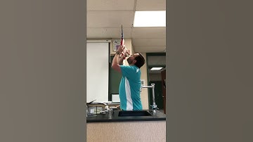 Egg in the flask