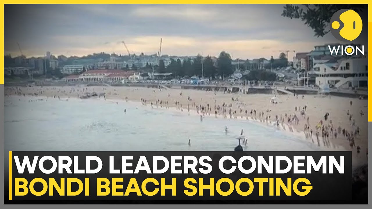Bondi Beach Shooting: Global Leaders Condemn 'Deeply Distressing' Incident in Australia | WION