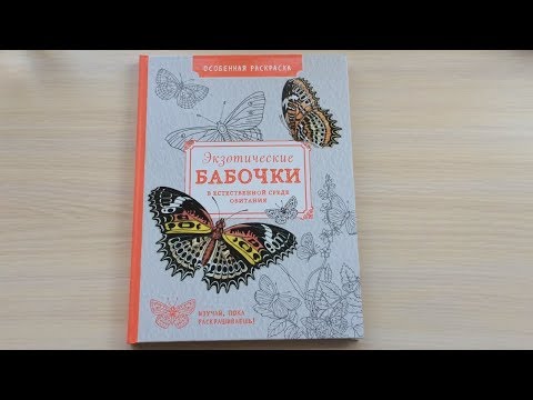 РАСКРАСКА | Экзотические Бабочки в Естественной Среде Обитания | Быстрый обзор |