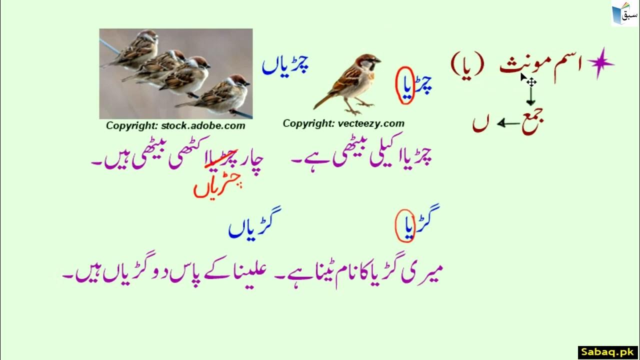 Masculine Feminine In Urdu YouTube masculine-feminine-in-urdu-youtube