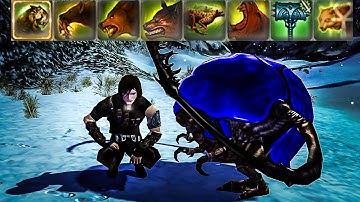 Builds Explained - Ranger/Any Beastmaster [Guild Wars]