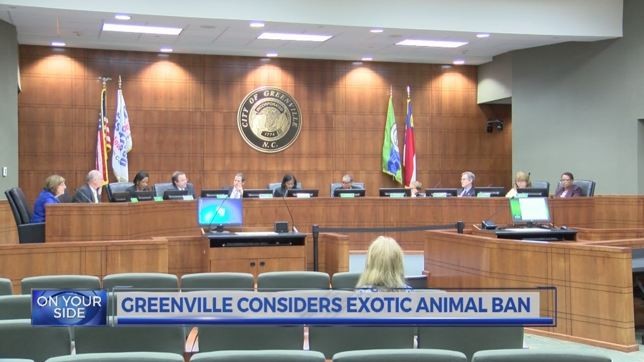 Greenville City Council considers ‘exotic animals’ ban YouTube