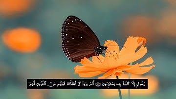 سورة يس برواية  أبي الحارث عن الكسائي  بصوت القارئ الشيخ عبد الرشيد صوفي