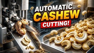 Automatic Cashew Nut Cutting System