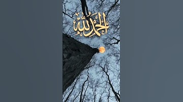 #القرآن_الكريم #اكسبلور #المصحف سورة الملك ❤️ ملاحظة : اقراها كل يوم جمعه 🌹