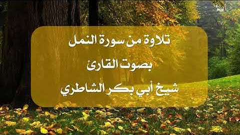 تلاوة من سورة النمل بصوت القارئ أبي بكر الشاطري