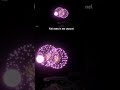 Fireworks show opening #fireworks #pyrotechnica #fwsim #bombadatiro