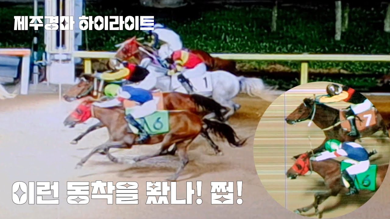 제주경마 내가 못살아~(배팅승식을 다걸어서 먹었다했더니 동착이머니 동착이! 쩝)