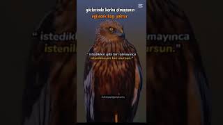 Gözlerinde Korku Olmayanın Eğilecek Başı Yoktur.