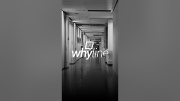 whyline