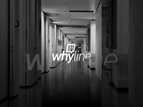 whyline