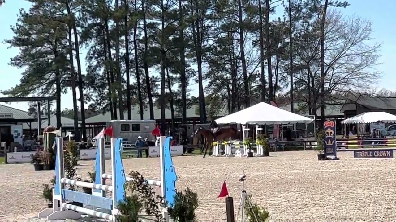Southern Pines Horse Trial 2023 - Novice - Stadium Jumping @ Carolina Horse Park