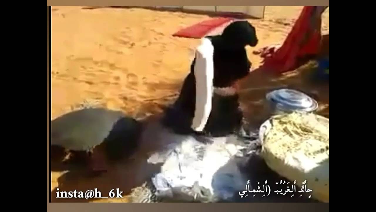 هجيني /يابنت مابي بلى لولاك :هاذي البدويه صحيح 👍🌴