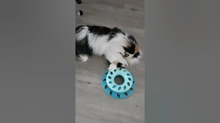 em mo Mimi