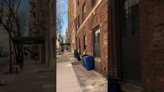 IMG 24532
