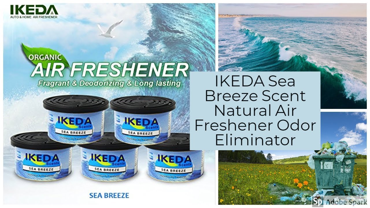 IKEDA Sea Breeze Scent Natural Air Freshener Odor Eliminator 