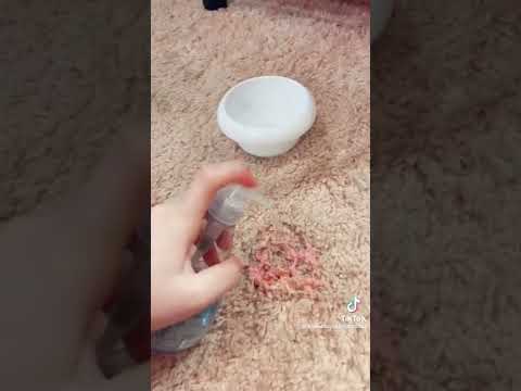 How To Get Slime Off Carpet!! #slime #shorts