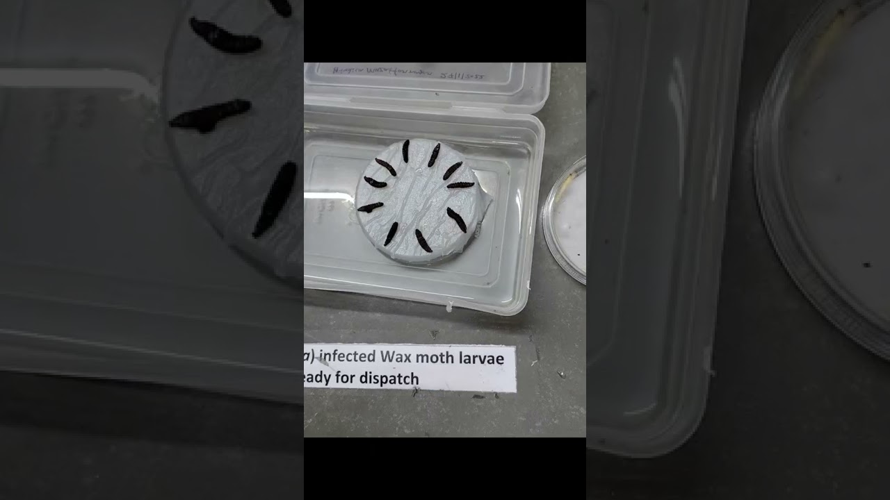 BIOTECH-KISAN HUB, Ghaziabad