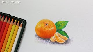 How to Draw Orange | Drawing with Colored Pencils | Realistic Drawing tutorial