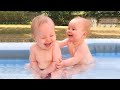 Jolis bébés jumeaux se battant pour des choses   Bébés jumeaux drôles 2020