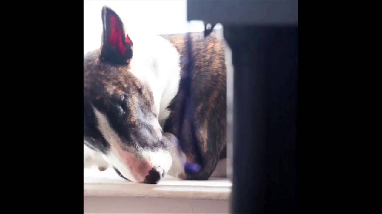 Cryptic One presents: Beataday 1-100