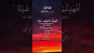 #Quran #thankful #beautifulrecitation #sotrue #great