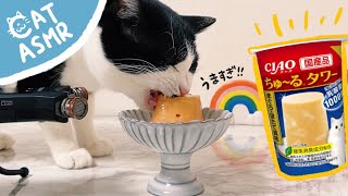 ASMRThe Churu Tower is too delicious!【Eating Sound】