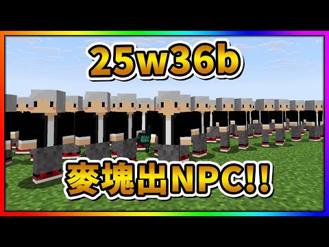 【麥塊更新】官方出了做NPC的功能了😲又是一個大躍進💥25w36b💥【Minecraft】