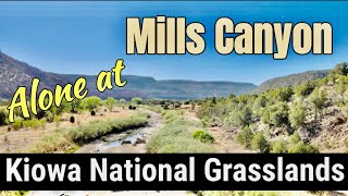 Alone at Mills Canyon: Episode One #kiowanationalgrasslands #newmexico #millscanyon