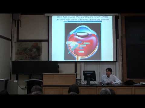 Video: Ангиогенез каршылыкты жогорулатабы?