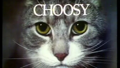 Yorkshire Television Adverts 1981