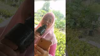 Download Lagu Setangkai bunga padi -Santa hoki by Mpo Fatimah  MP3