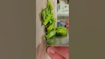 How to Slice PEAS Like a Ninja | Vegetable Chopping Channel
