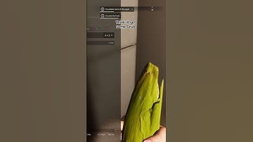 Watching tv in Vein be like #projectzomboid #gaming #zombies #memes #dankmemes #fyp #survival #edit