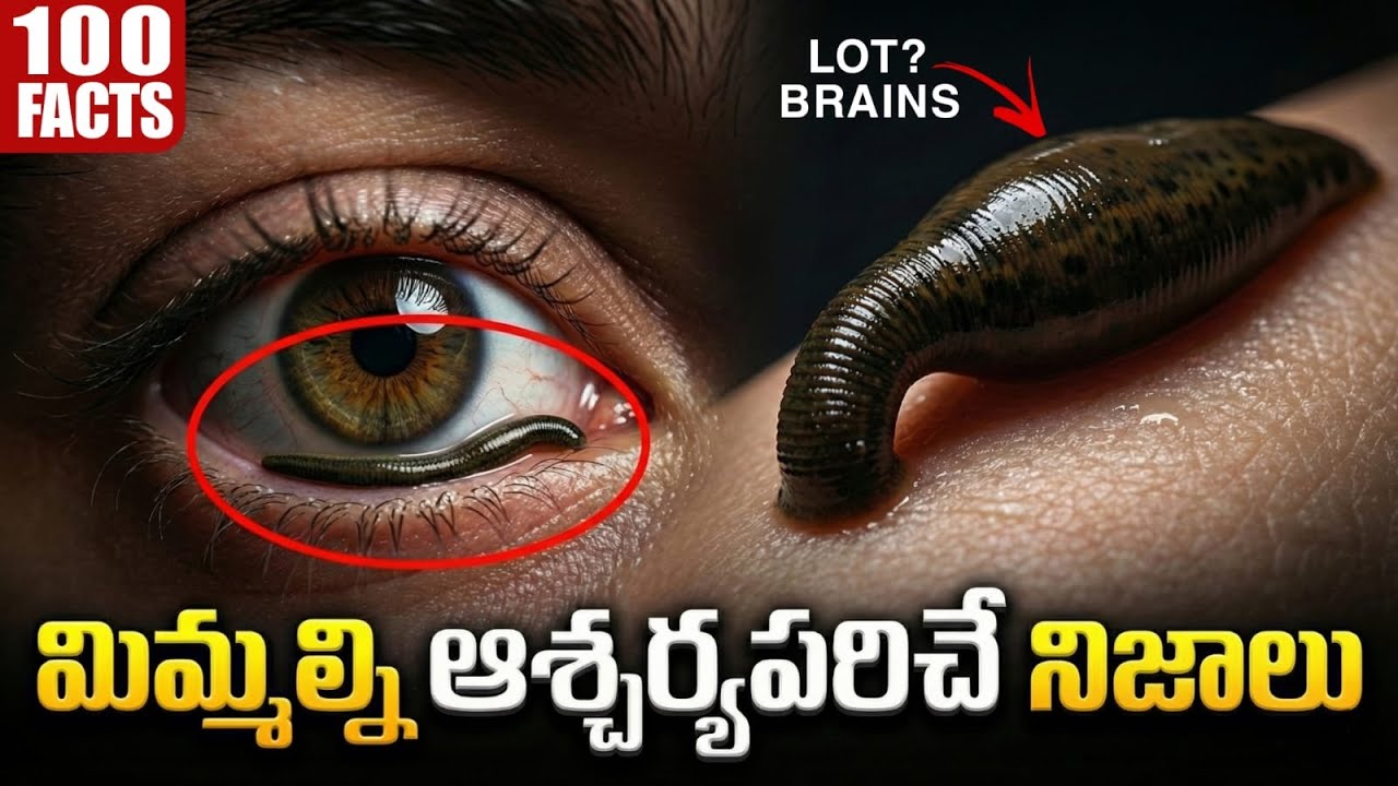 100 Facts In Telugu | Interesting Facts In Telugu New | Episode 10 | Facts Forever