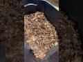 Suburban Homesteading: How to Make Compost #suburbanhomestead#compost #letslearntogether#gardentoool