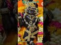 murlidhar_chaliya_mohan🦚#shorts #radharaman#krishna#radha#youtubeshorts#radheradhe#shortsvideo#viral
