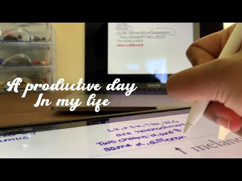 A productive day in my life ☕️📚: Study vlog