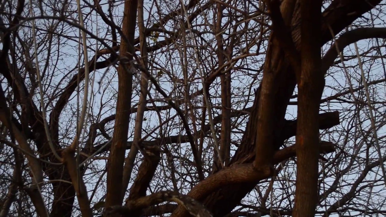 Visual Poem By MikeFeezTv