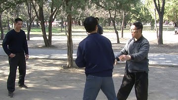 Master Xu Shi Xi, Yin Style Baguazhang Applications