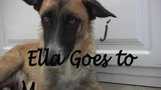 Farfel's Farm - Ella Ella