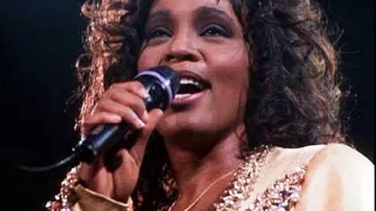 whitney houston tour 1994