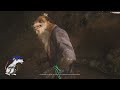 Black Myth Wukong Teil 14