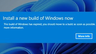 what happens when windows betas expire?