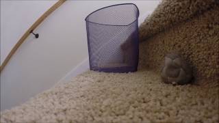 HACKY SACK TRICK SHOTS- MADDENING RAGE