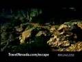 Nevada HikingHang-glidermercial