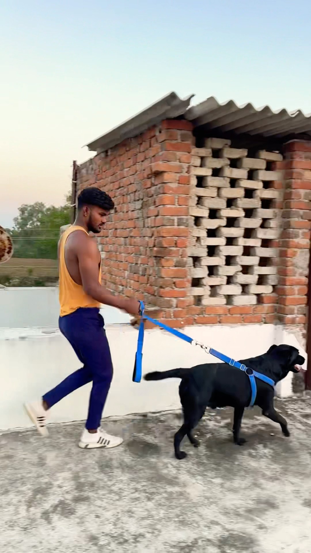 Dog kanha jake chhup gaya ?‍⬛??? #shortvideo #funnyvideo #shorts #short #shortsyoutube