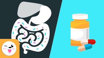 Diseases and Medicine - How do Vaccines Work? - The Immune System